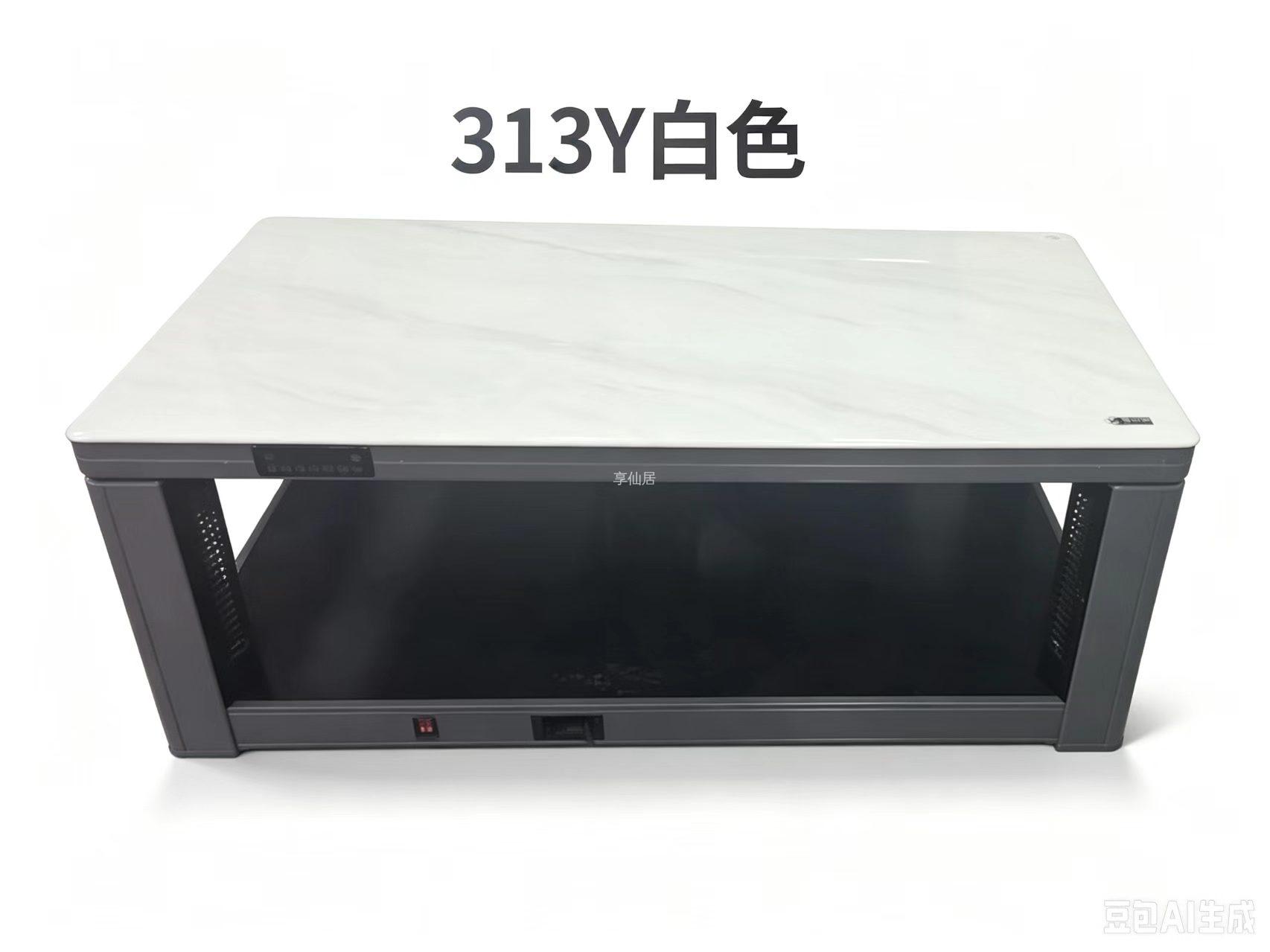 XJ-313Y